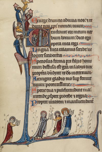 Initial E: David Playing the Harp by Bute Master